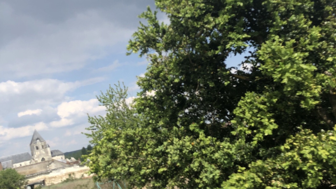 Photo of Outdoor in Saint-Aignan