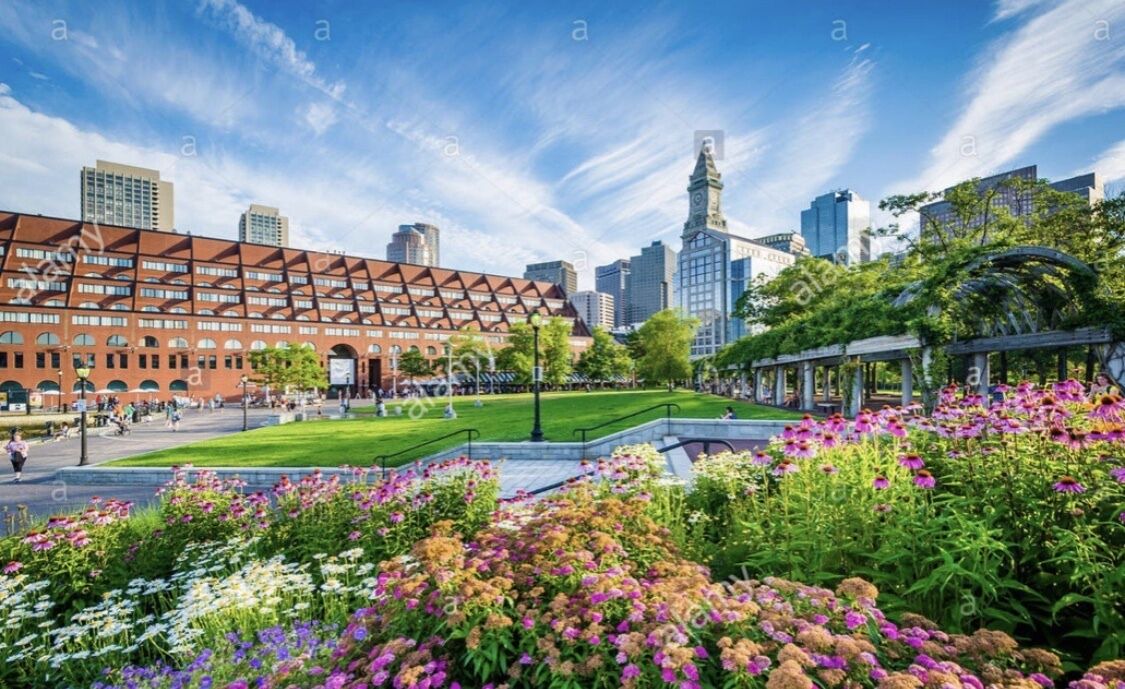 Photo of Others in North End