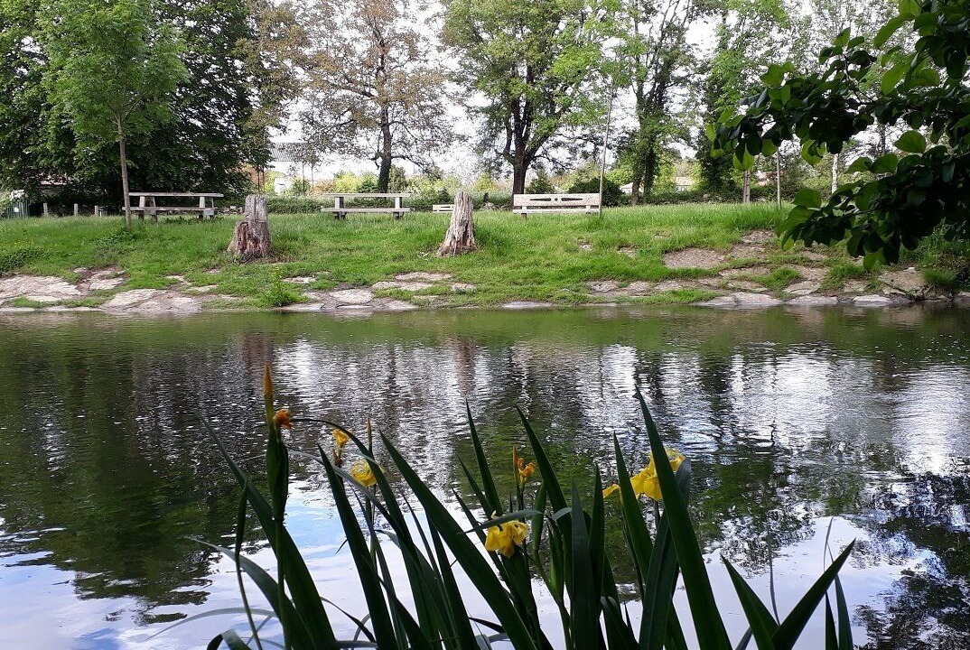 Photo of Outdoor in Barro