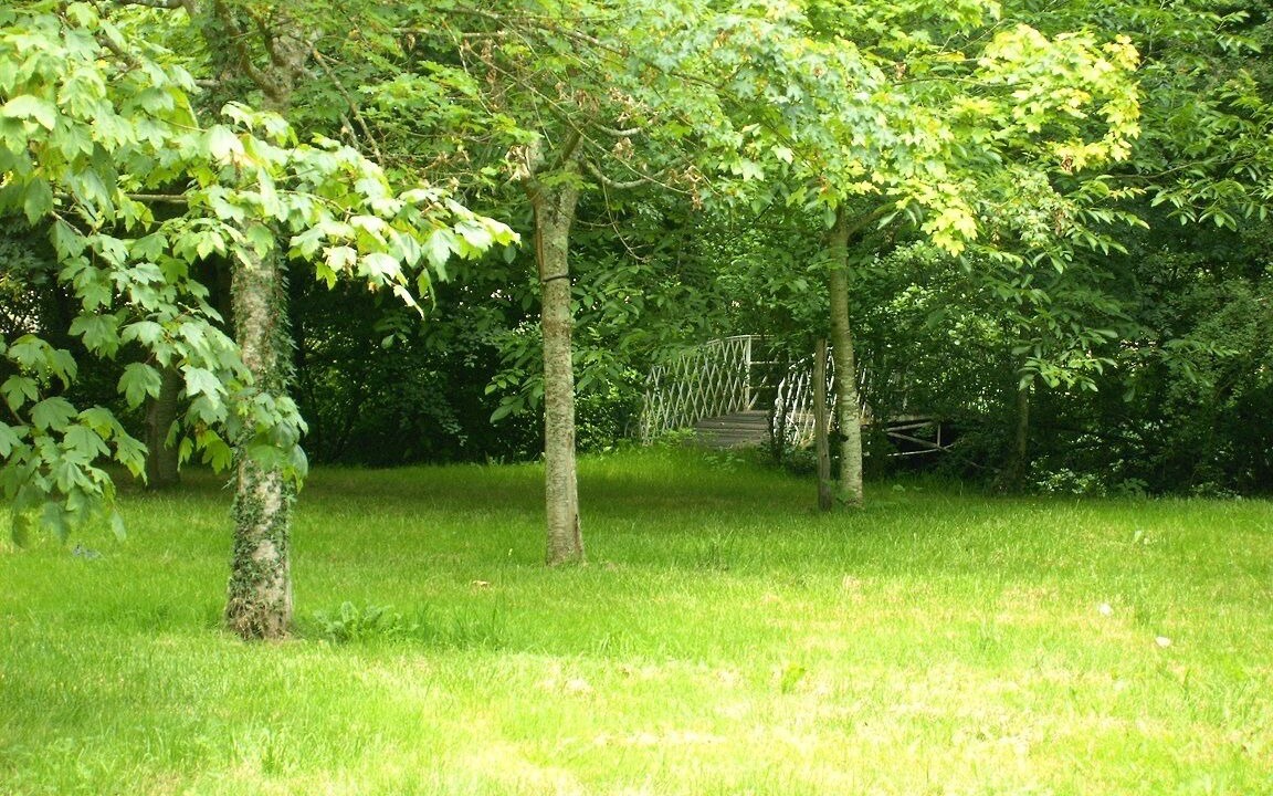 Photo of Outdoor in Barro