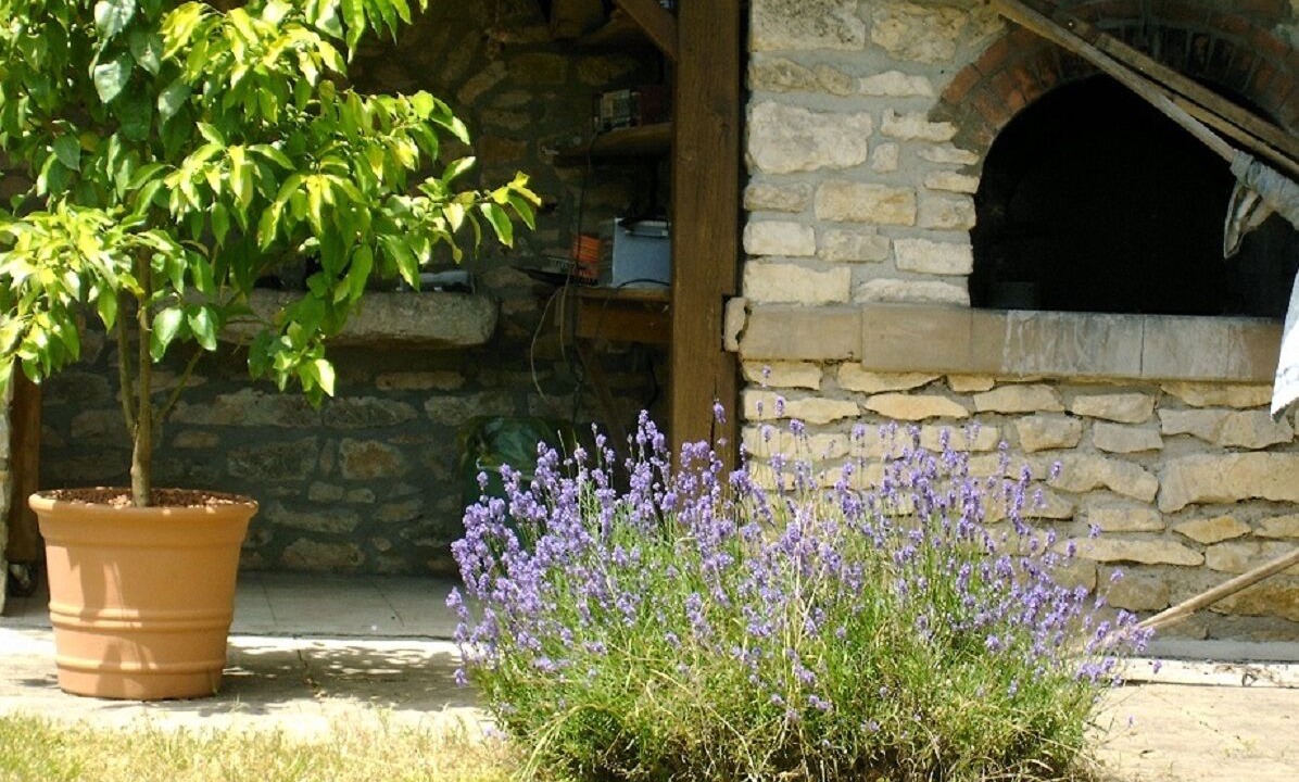 Photo of Patio Balcony in Barro