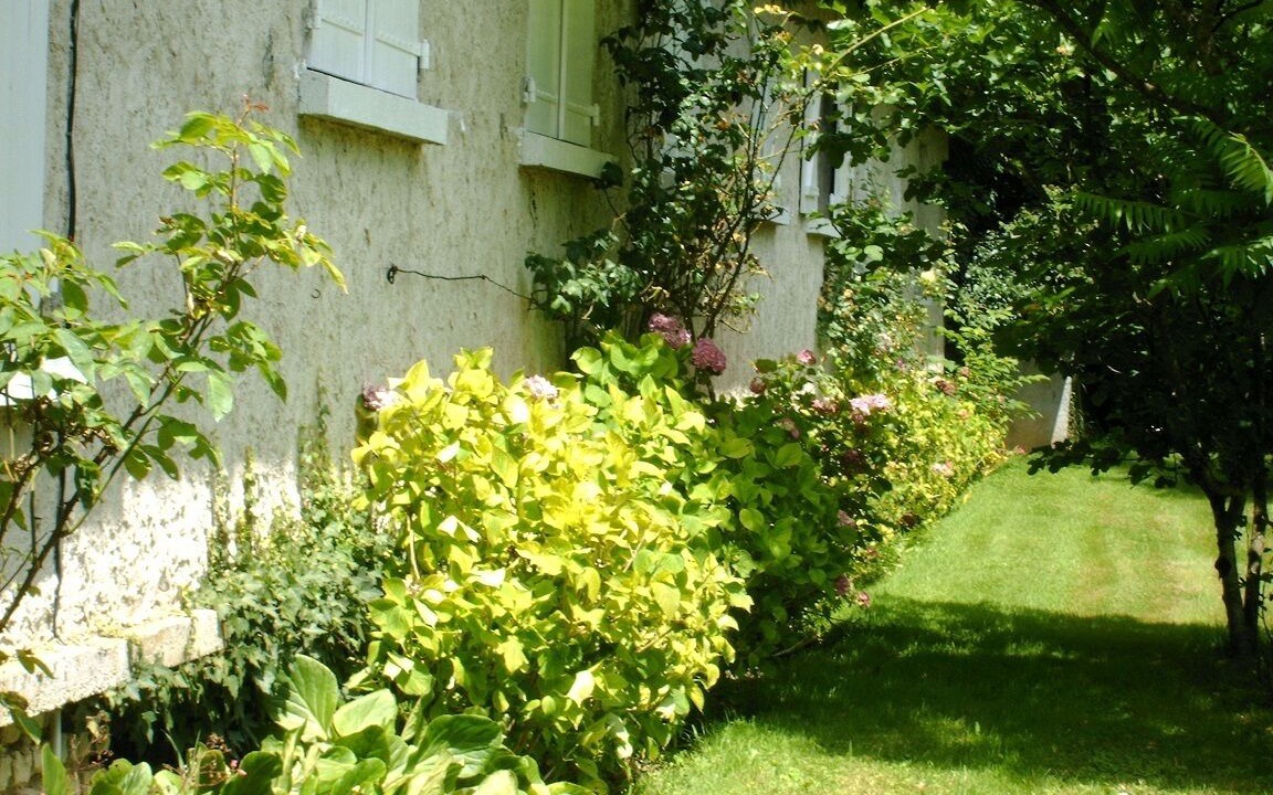 Photo of Outdoor in Barro