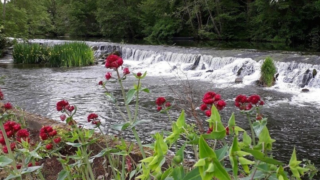 Photo of Outdoor in Barro