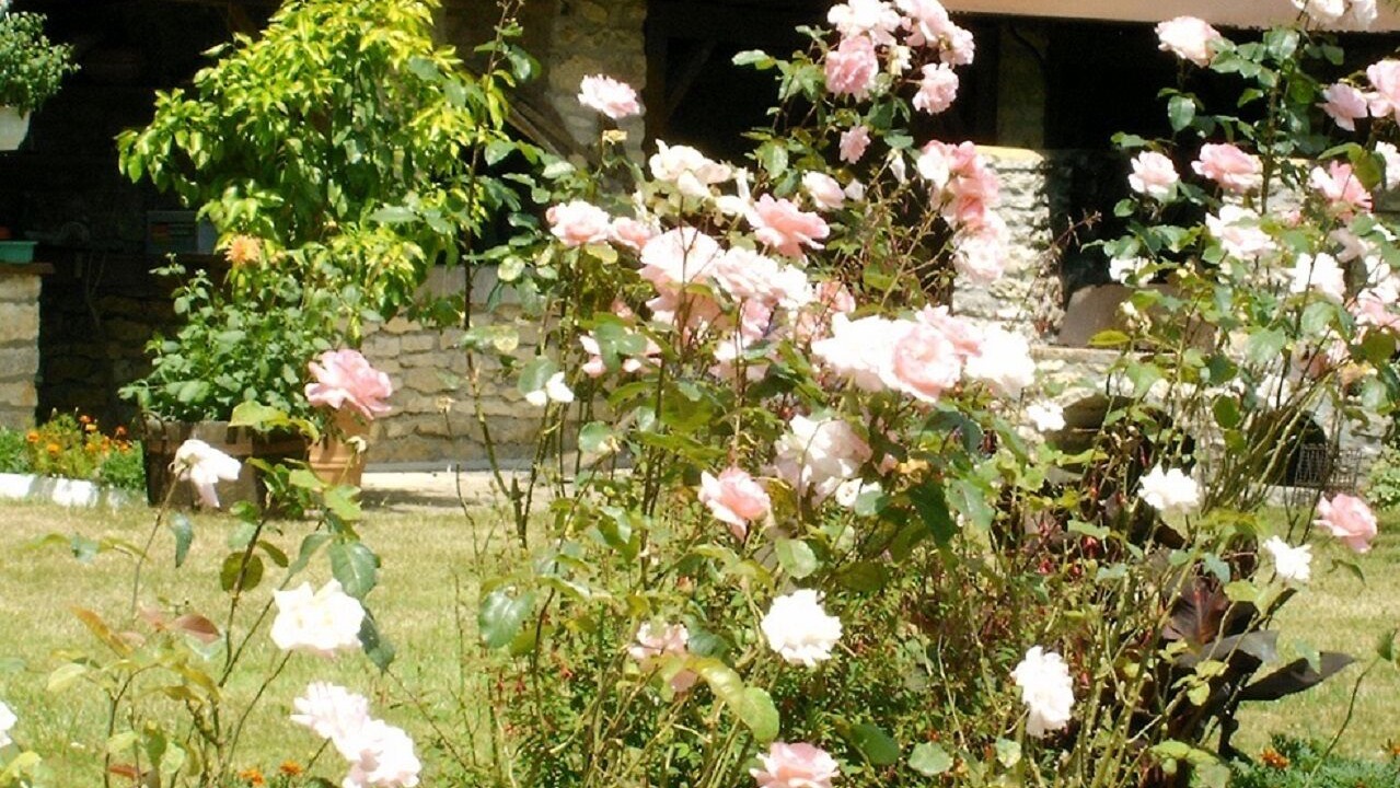 Photo of Outdoor in Barro