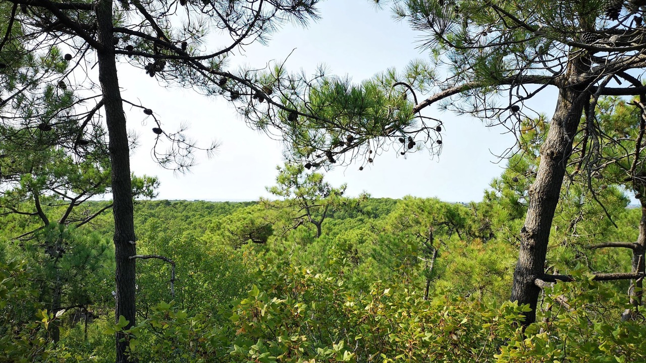 Photo of Outdoor in Notre-Dame-de-Monts