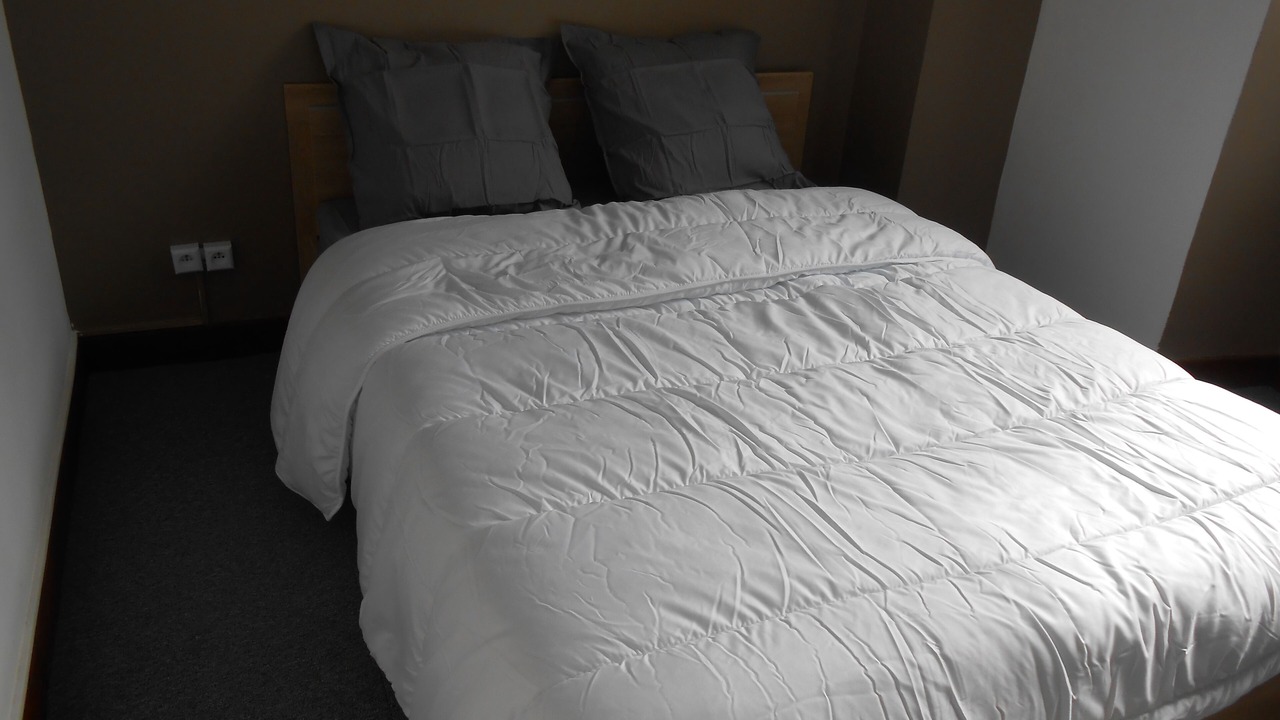 Photo of Bedroom in Laruns