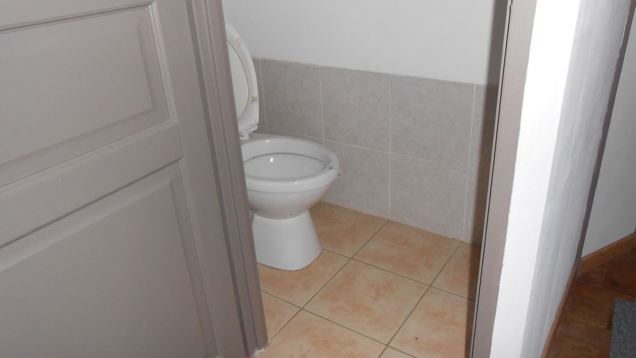 Photo of Bathroom in Laruns