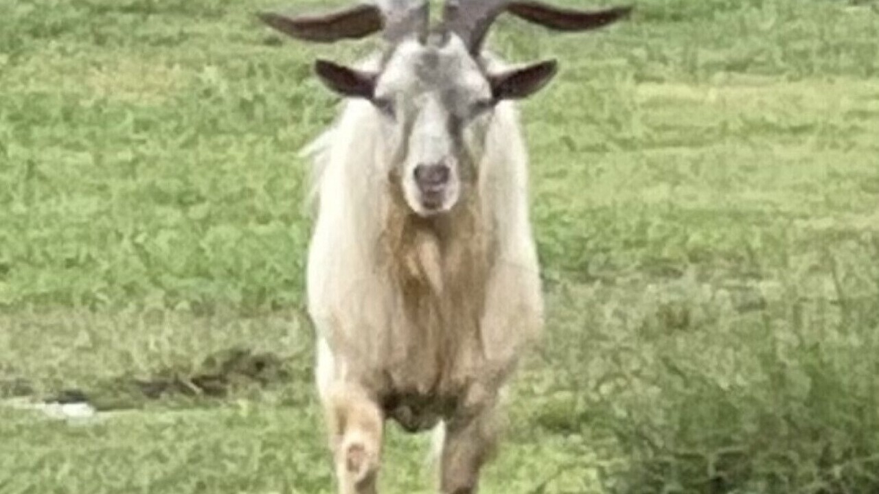 Photo of Outdoor in Hartwell