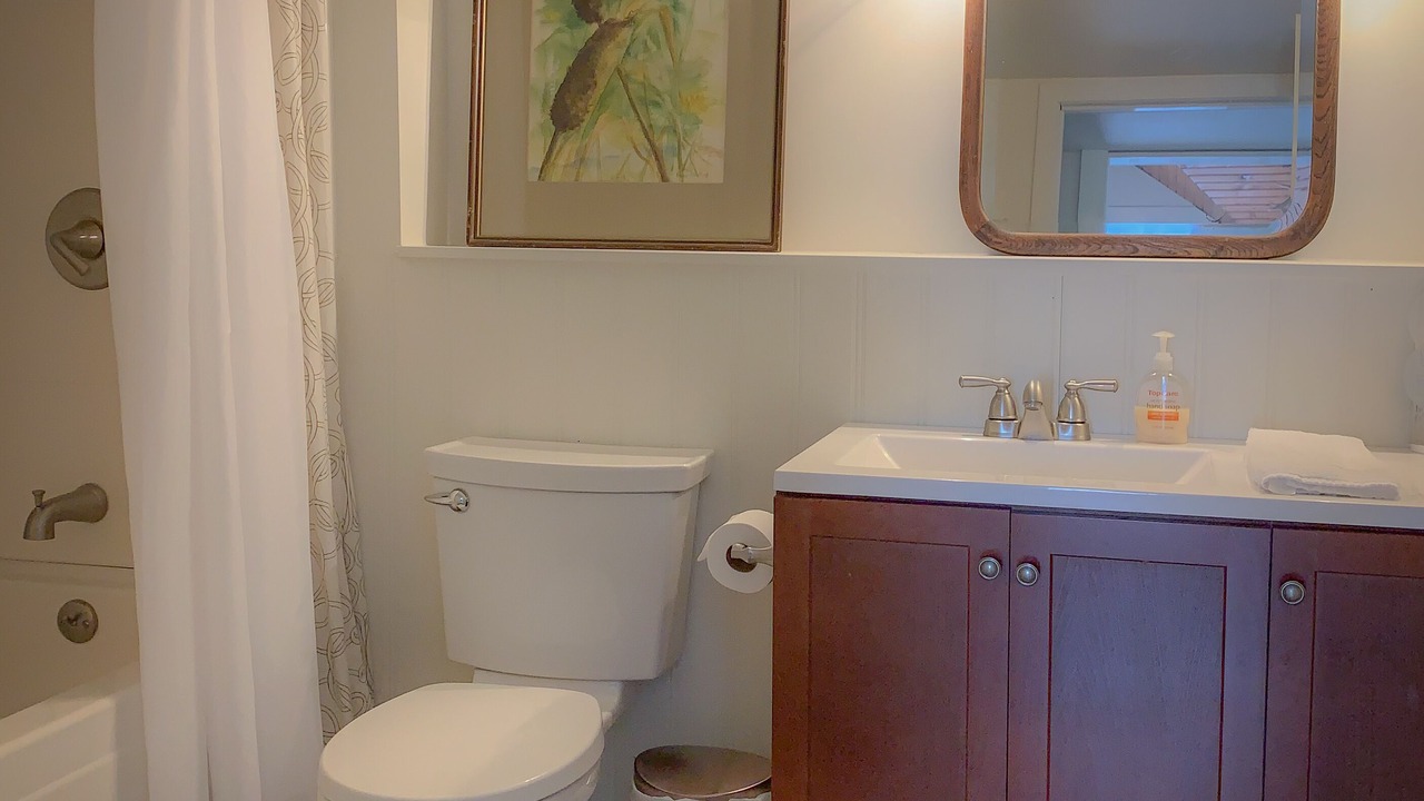 Photo of Bathroom in Pacific
