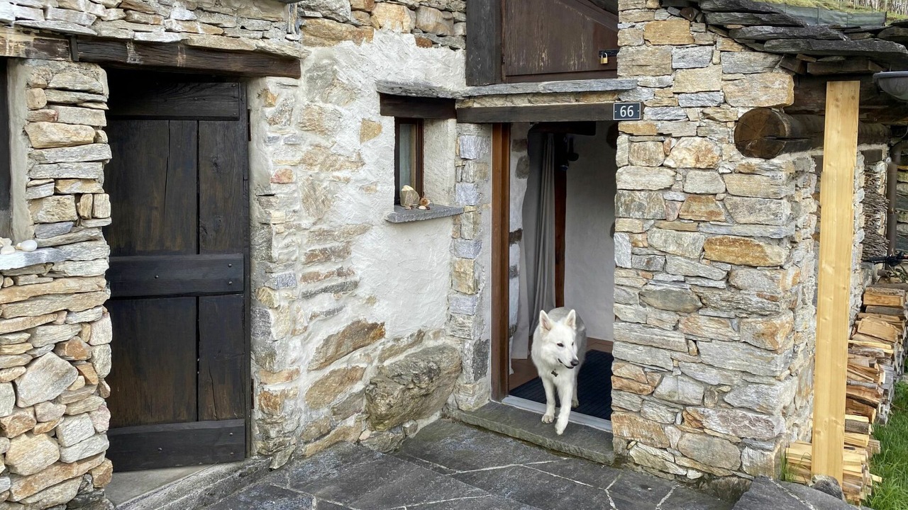 Photo of Others in Malvaglia-dagro