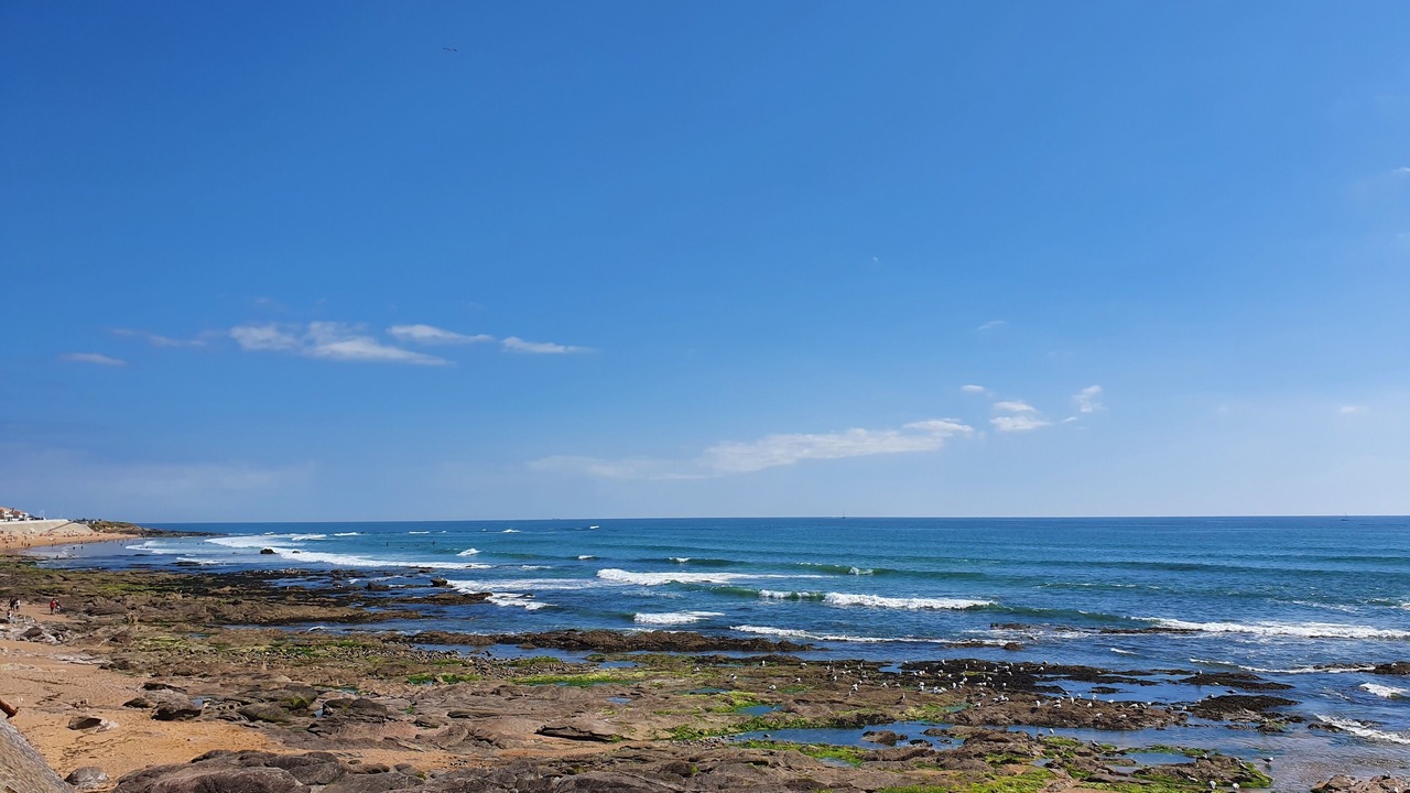 Photo of Others in Chateau-d'Olonne