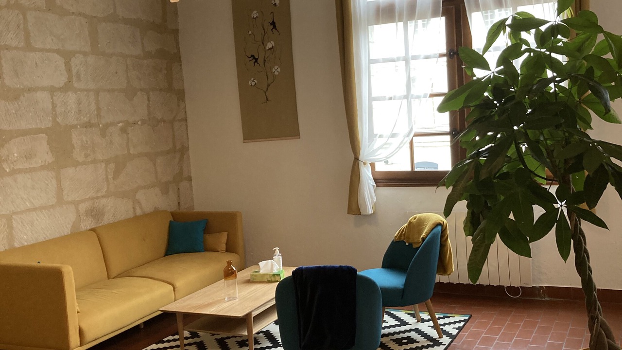Photo of Livingroom in Tours City Centre