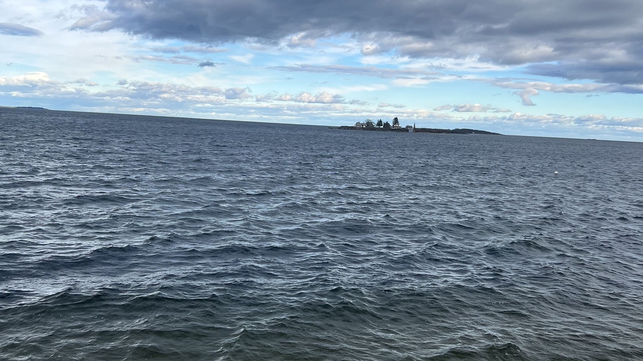 Photo of Others in Biddeford Pool