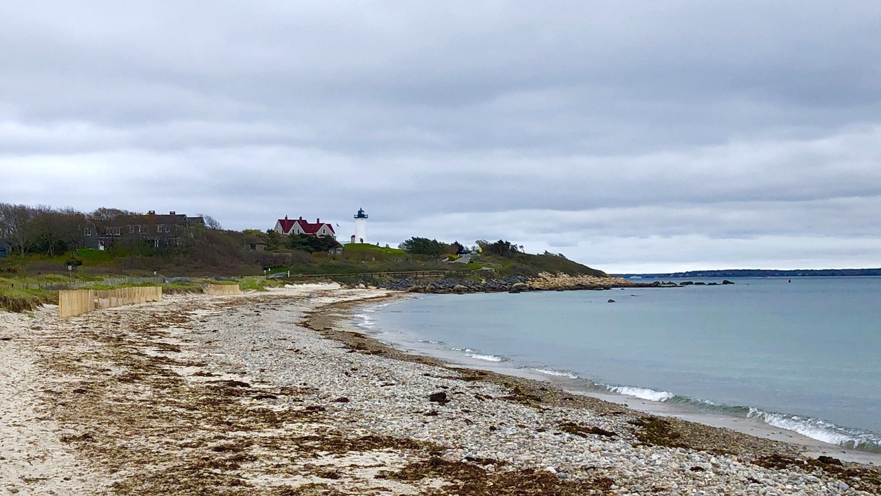 Photo of Others in Woods Hole