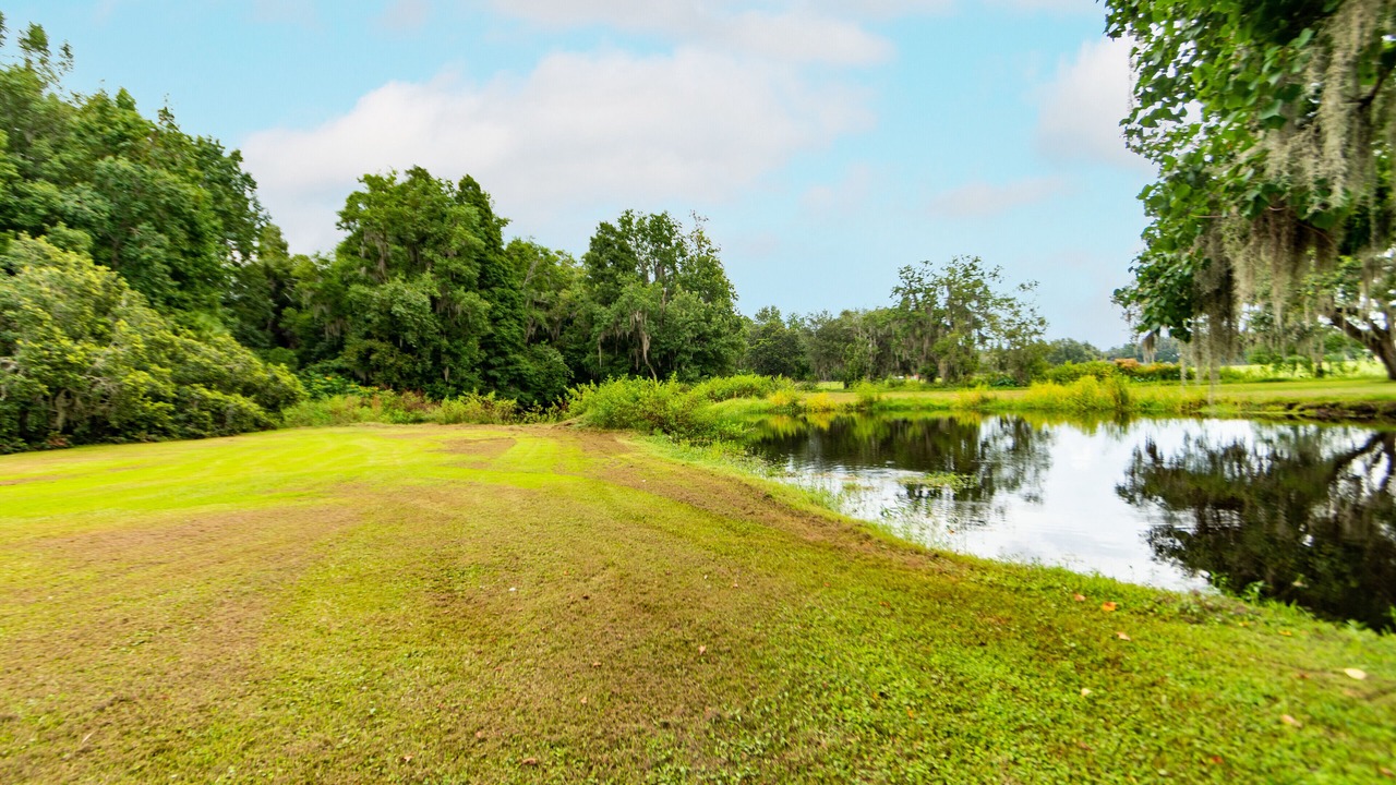 Photo of Outdoor in Seffner Community Alliance