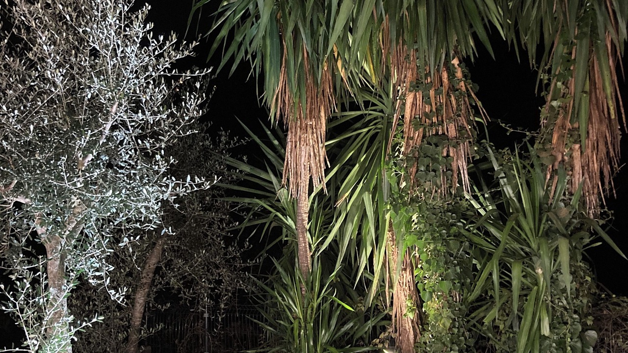 Photo of Outdoor in Tourrettes-sur-Loup