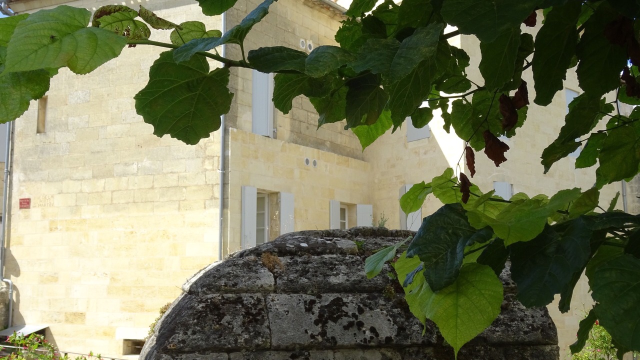 Photo of Outdoor in Saint-Emilion