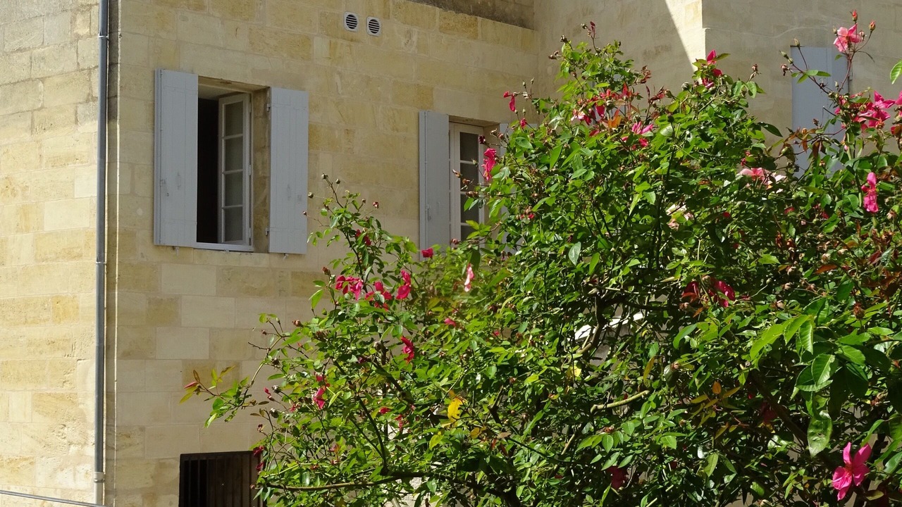 Photo of Outdoor in Saint-Emilion