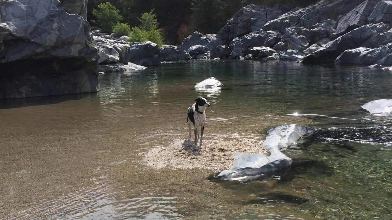 Photo of Others in Nevada City