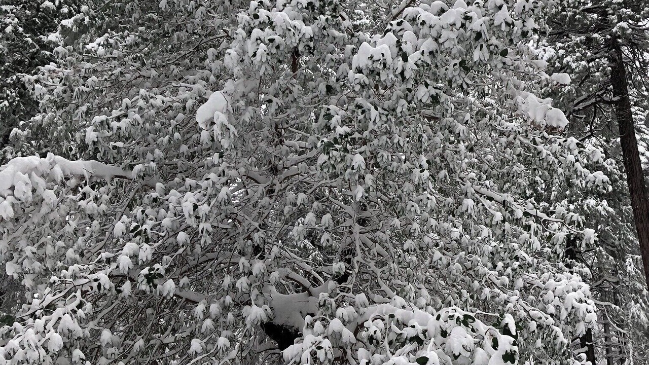 Photo of Others in Nevada City
