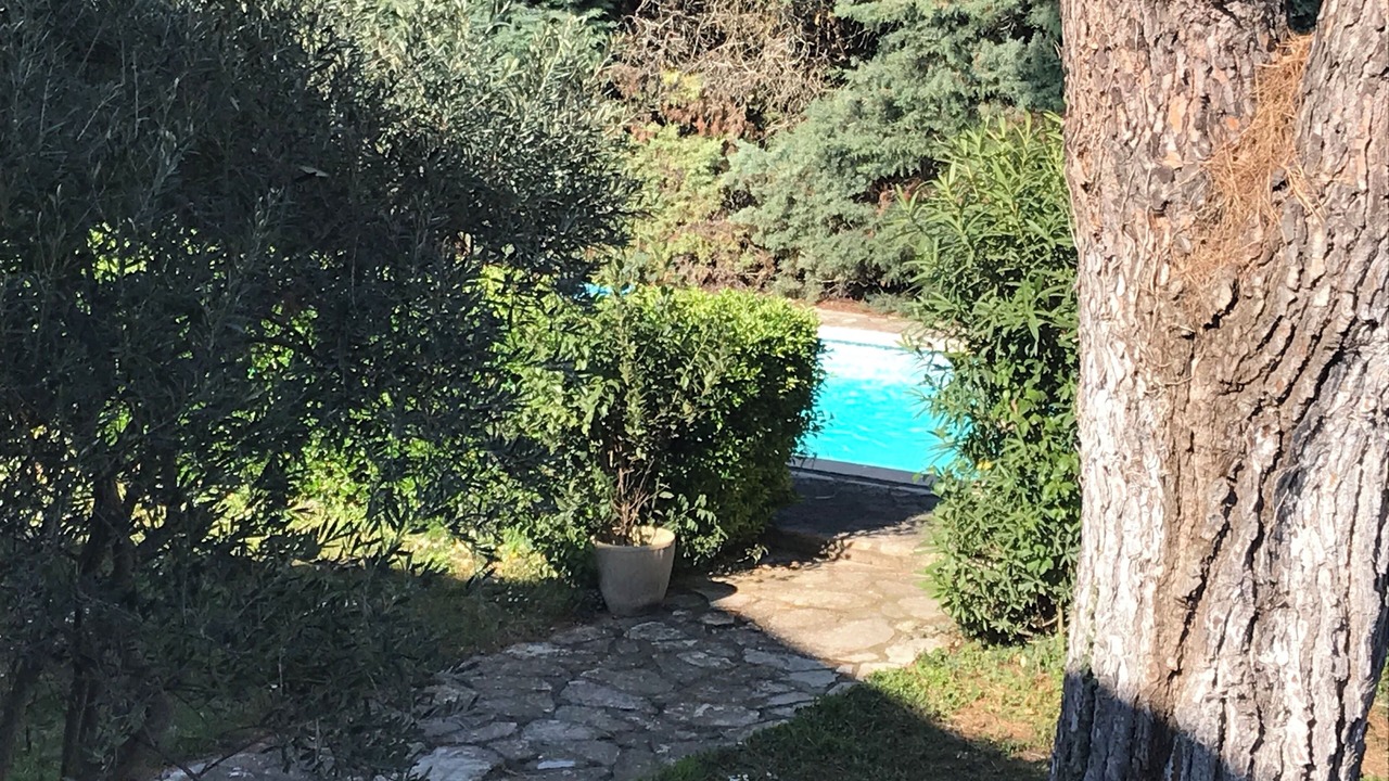 Photo of Outdoor in Canet