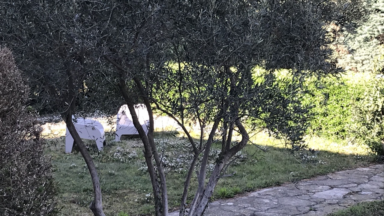 Photo of Outdoor in Canet