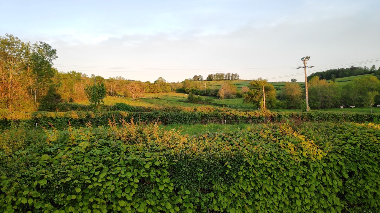 Photo of Outdoor in Saint-Leger-de-Fougeret