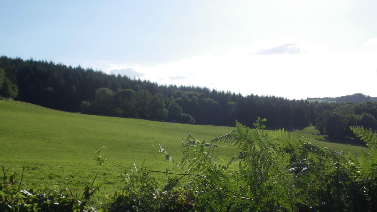 Photo of Others in Saint-Leger-de-Fougeret