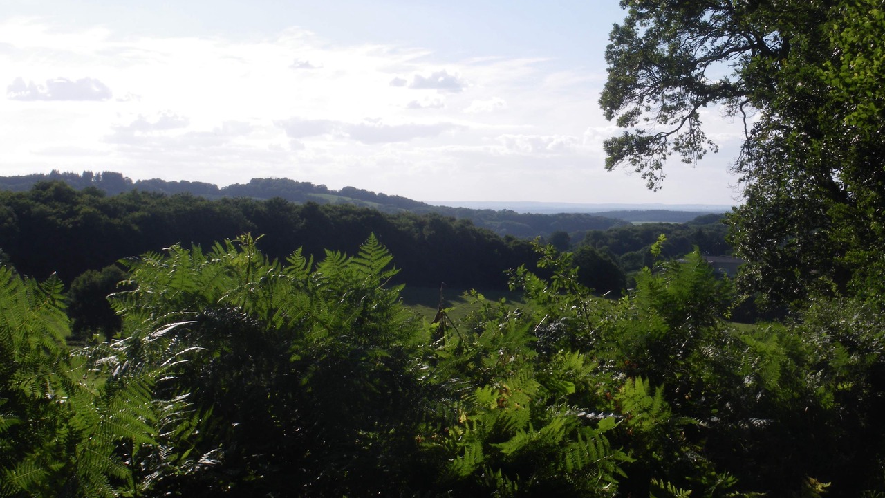 Photo of Outdoor in Saint-Leger-de-Fougeret