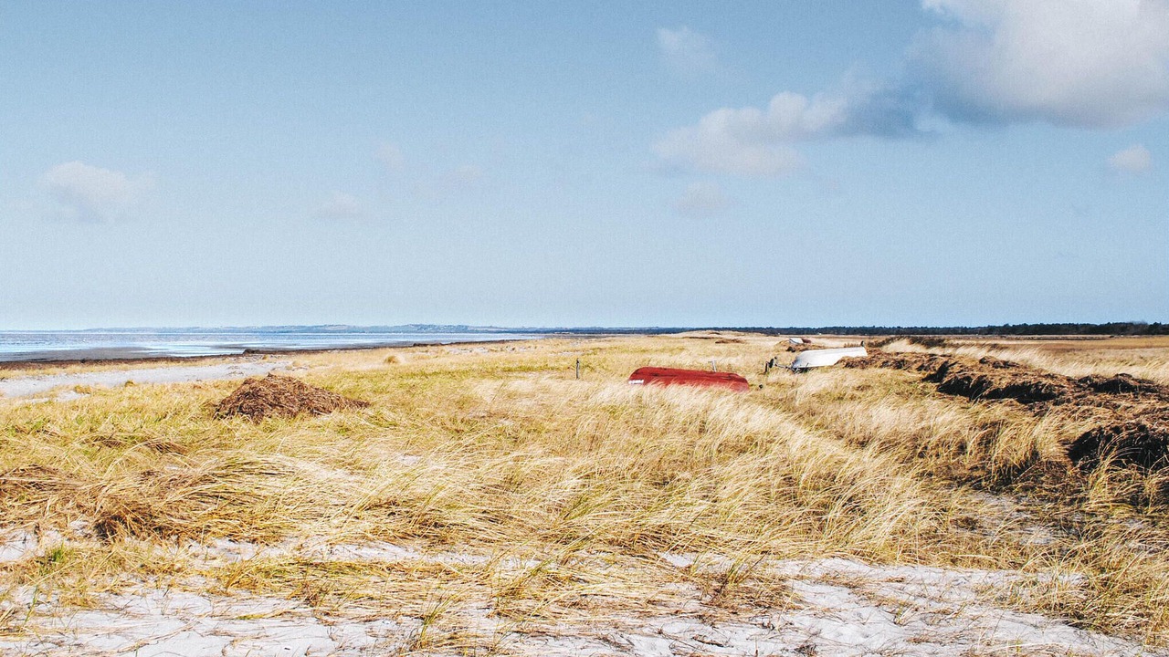 Photo of Others in Hojby