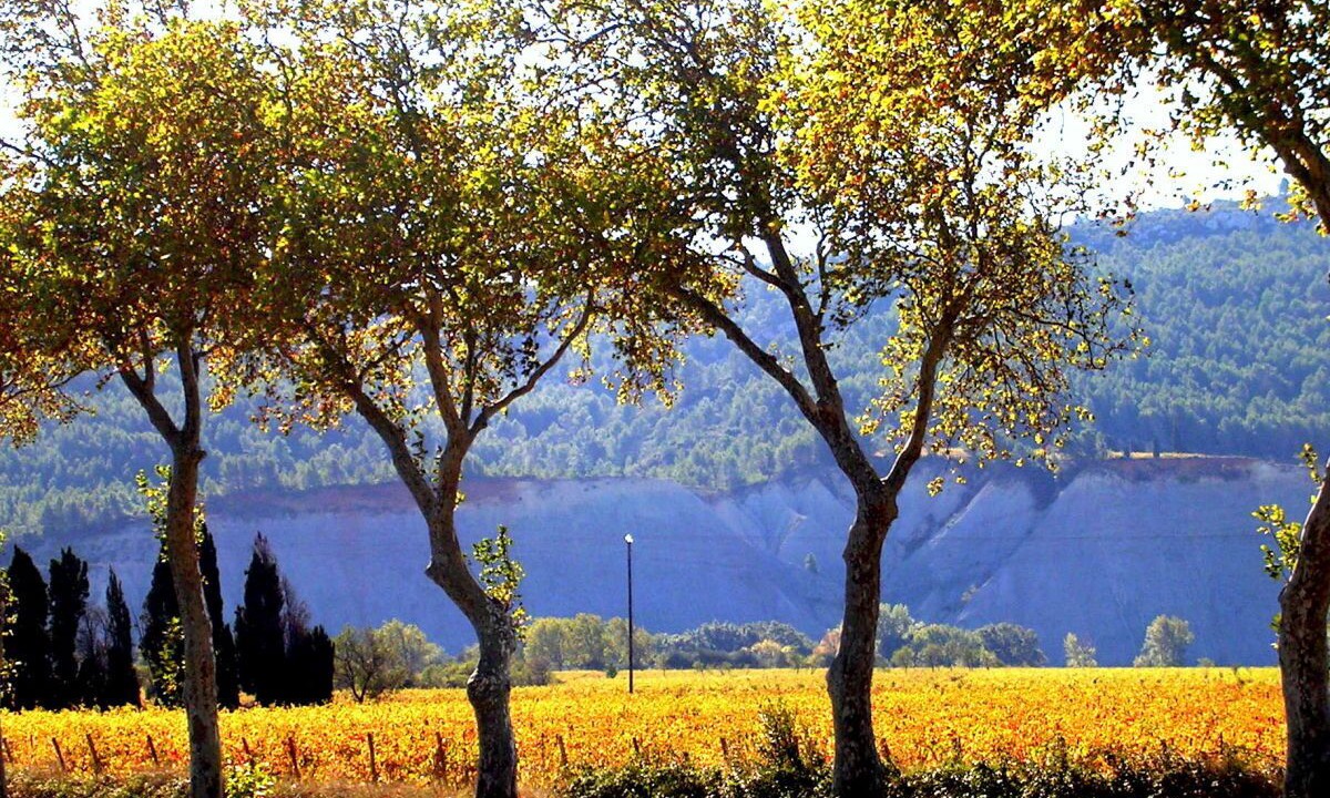 Photo of Others in Ferrals-les-Corbieres
