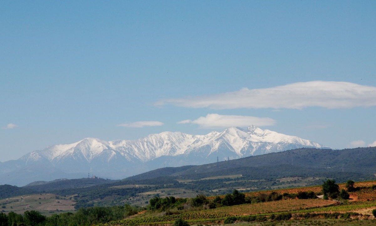 Photo of Others in Ferrals-les-Corbieres