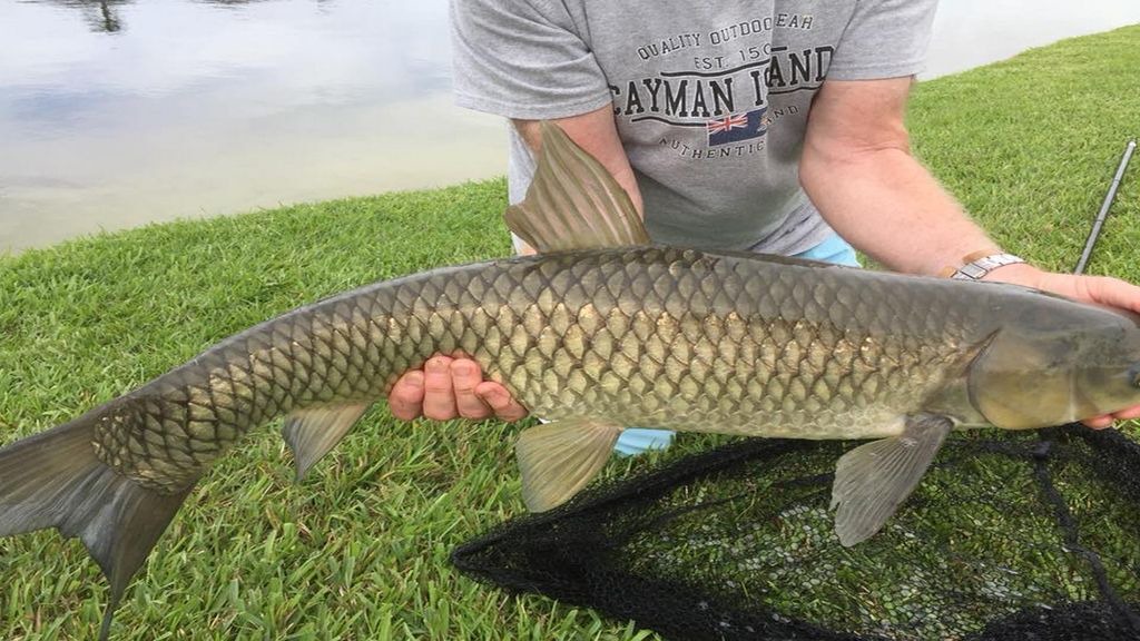 Photo of Others in Lake Berkley