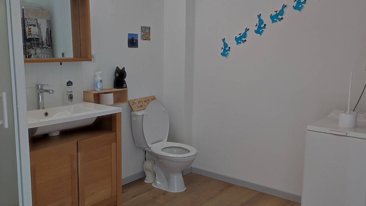 Photo of Bathroom in Frossay