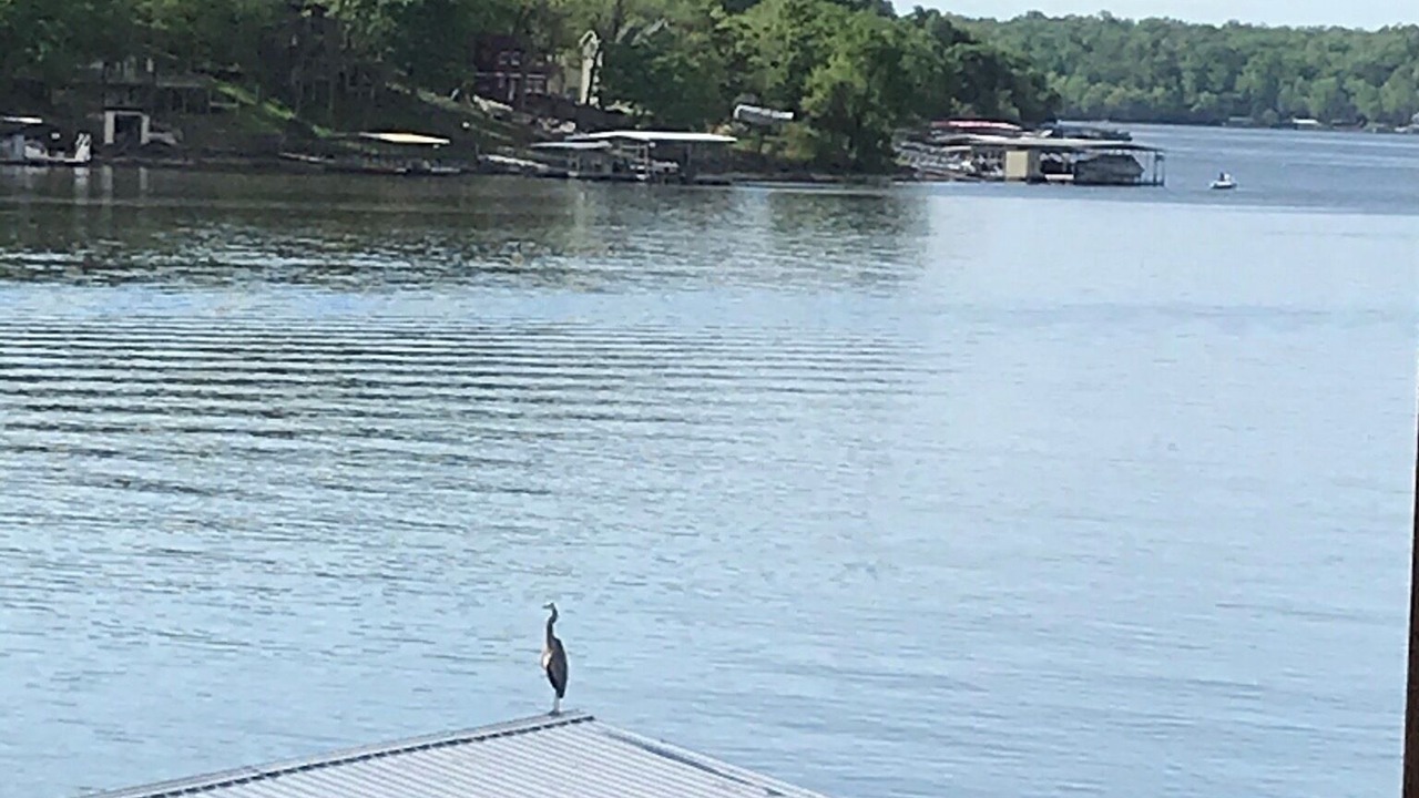 Photo of Others in Barnett