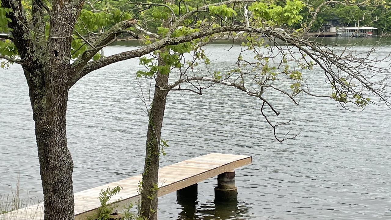 Photo of Others in Barnett
