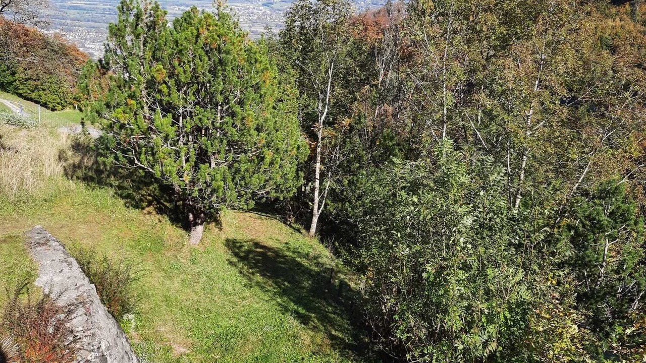 Photo of Outdoor in Sevelen