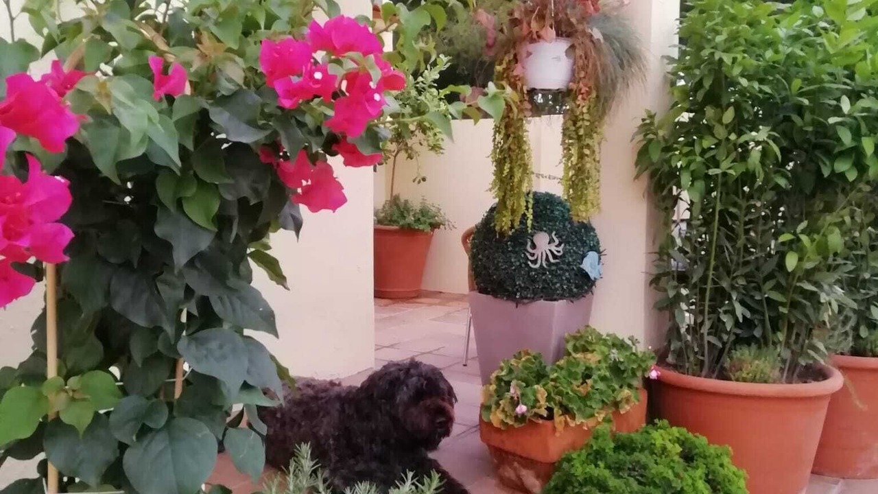 Photo of Outdoor in L'Escala