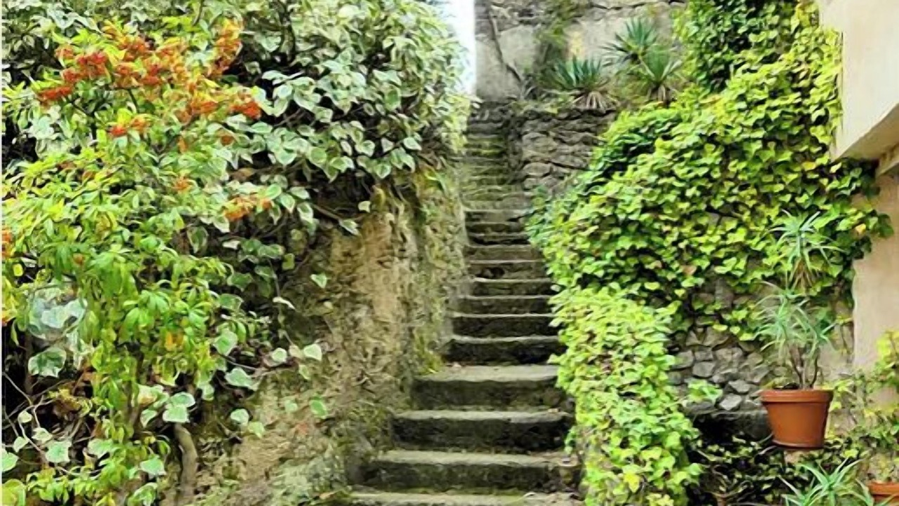 Photo of Outdoor in Salernes