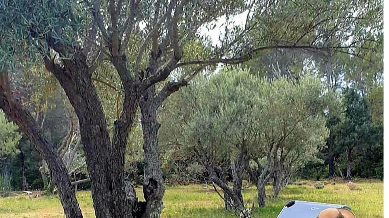 Photo of Outdoor in Salernes