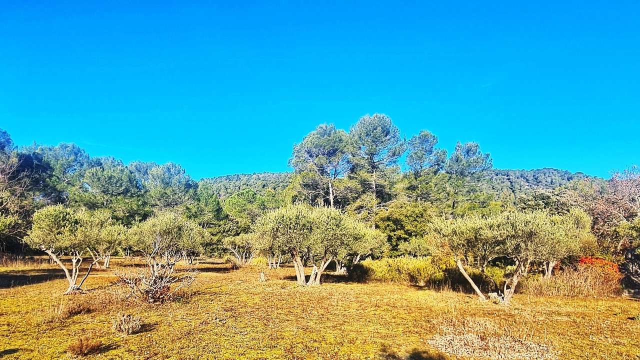 Photo of Outdoor in Salernes