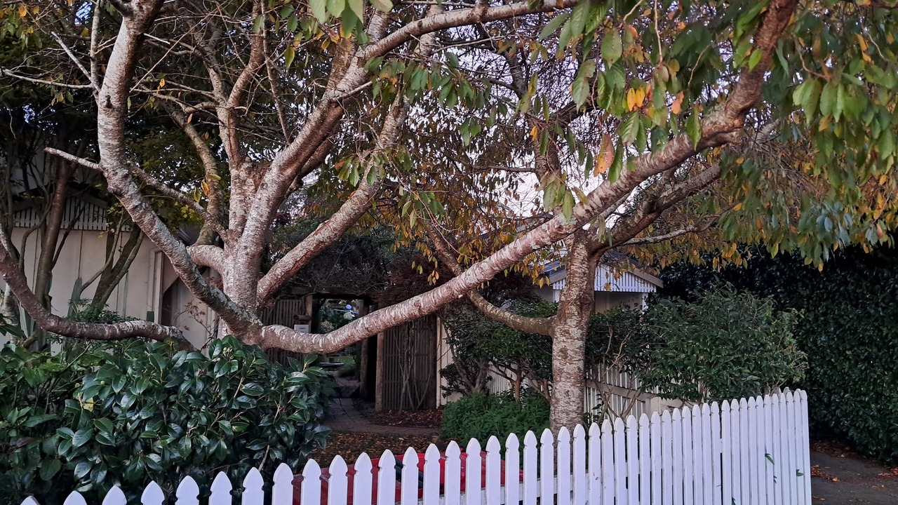 Photo of Outdoor in Waitara