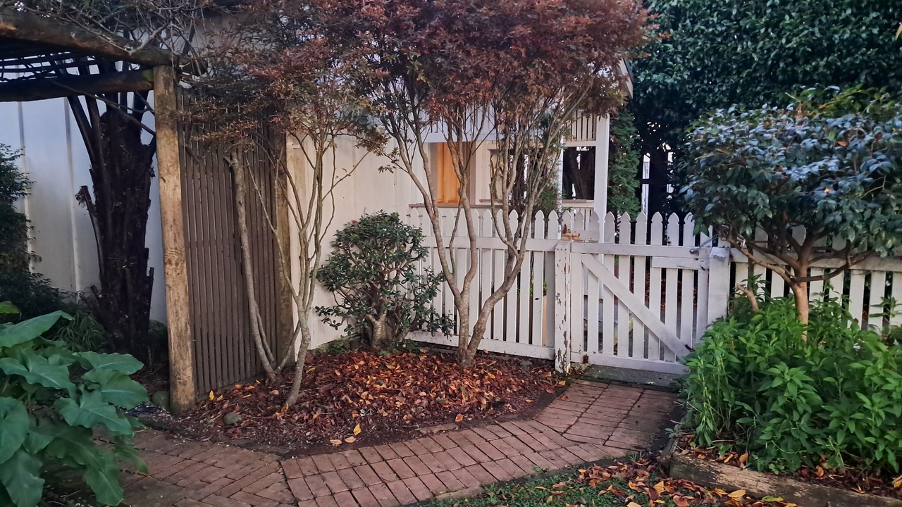 Photo of Outdoor in Waitara