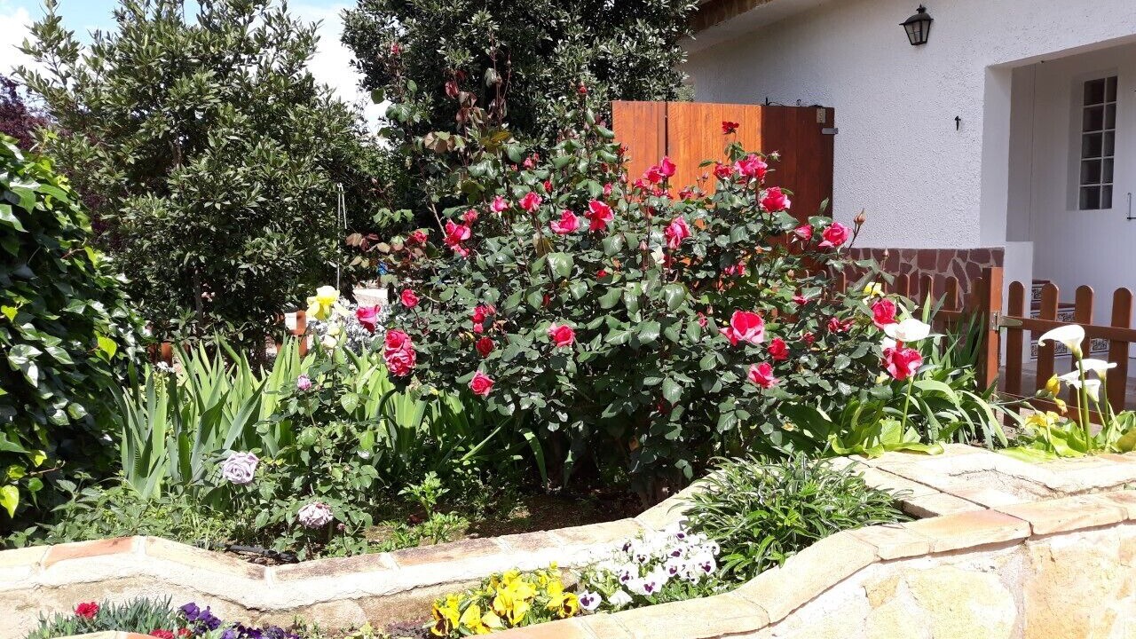 Photo of Outdoor in Alfara de la Baronia