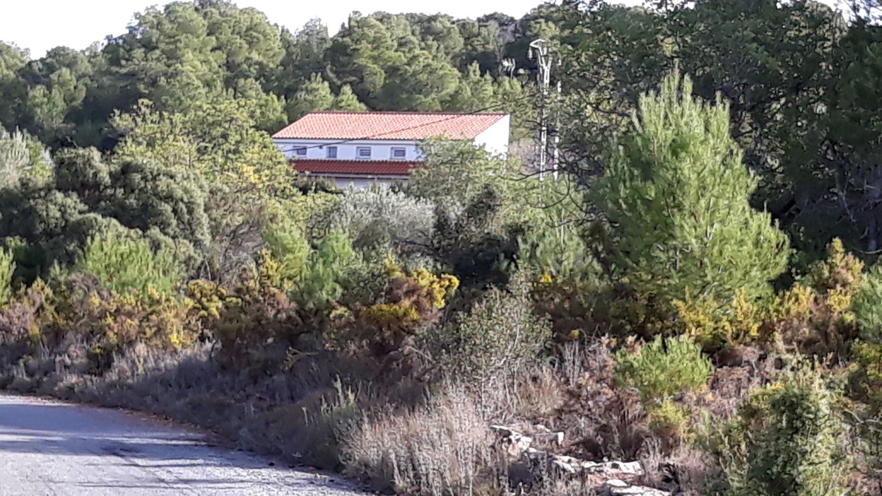Photo of Outdoor in Alfara de la Baronia
