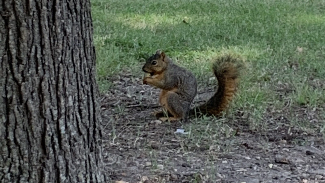 Photo of Outdoor in Emory