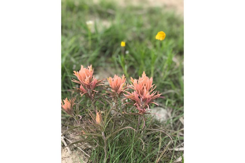 Photo of Outdoor in Hamilton