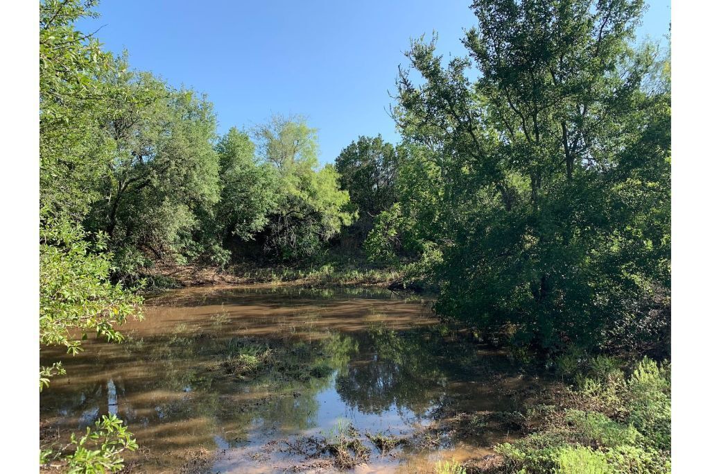 Photo of Outdoor in Hamilton