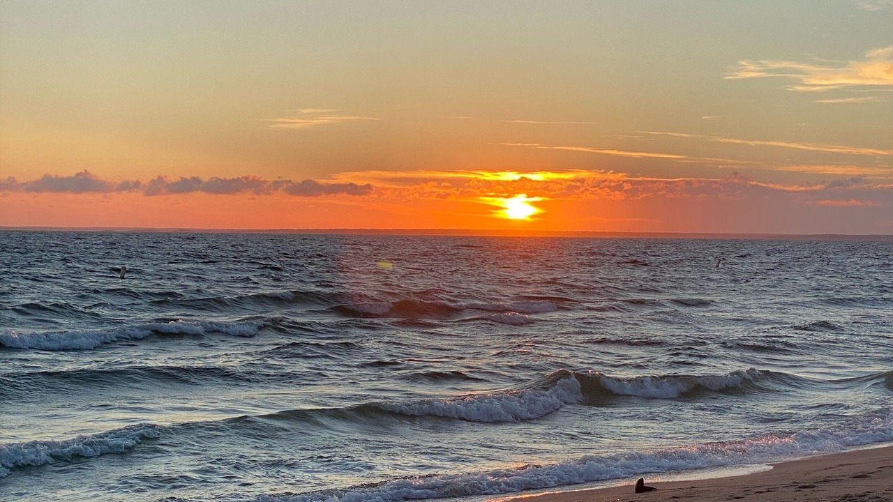 Photo of Others in Silver Beach