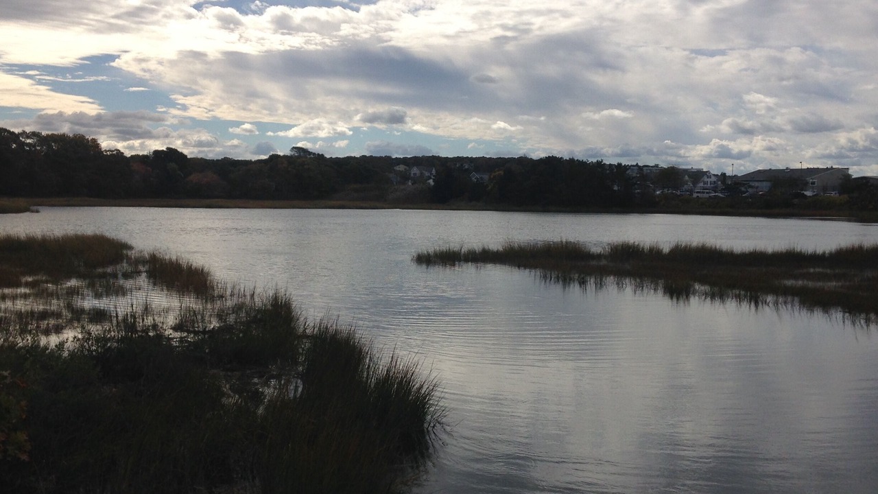 Photo of Others in Silver Beach